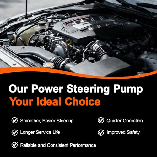 ALADICHE Power Steering Pump with Pulley Assembly Compatible with 1998-2002 for Honda Accord EX/LX/SE, 1999-2004 for Honda Odyssey,1998-1999 for Isuzu Oasis,21-5993