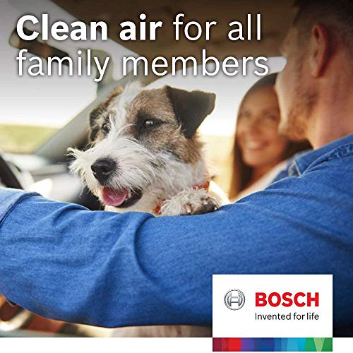 Bosch Cabin Air Filter - 6091C