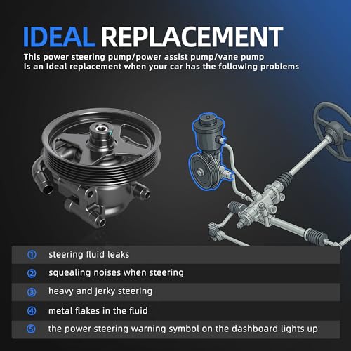 Loautong Power Steering Pump with Pulley, for Ford Expedition 03-06, for F-150 2004-2008, for Lincoln Mark LT 2006-2008, for Navigator 2003-2006 for 4.6L 5.4L V8, OE 20-312P1