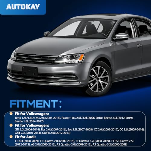 AUTOKAY Radiator Cooling Fan, Radiator Condenser Fan for Volkswagen Jetta Beetle Tiguan Golf for Audi A3 TT 2.0L Diesel 1K0121205AD9B9 1K0959455N 1K0959455DL